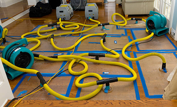 Professional Burst Pipe Water Damage technician working in Lamar, AR